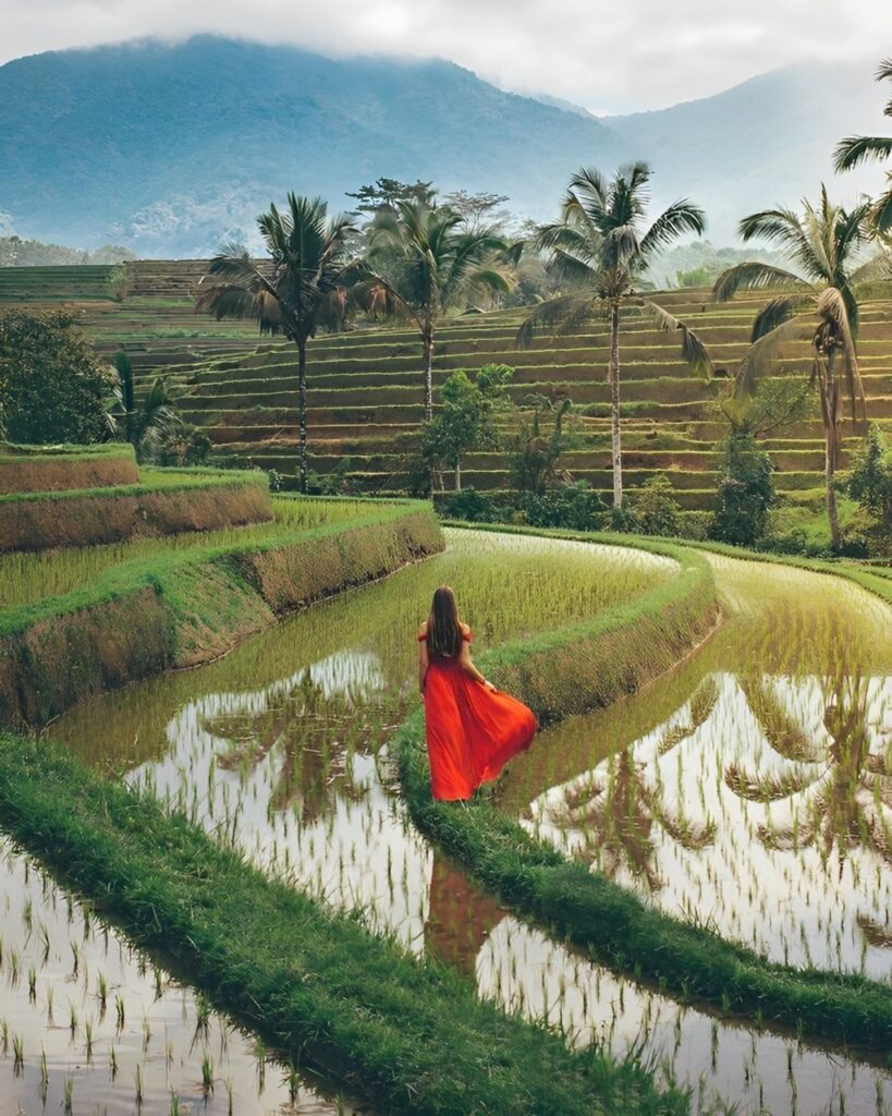 5b21c974b2f4f8f61812d0f74d25cd02 (1)